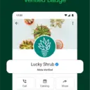WhatsApp Business APK icon