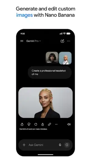 Google Gemini screenshot 1