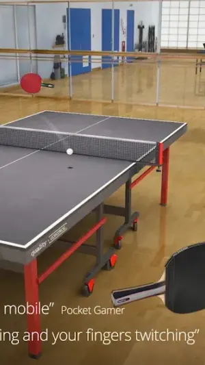 Table Tennis Touch screenshot 1