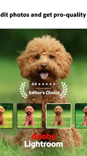 Lightroom Photo & Video Editor screenshot 1