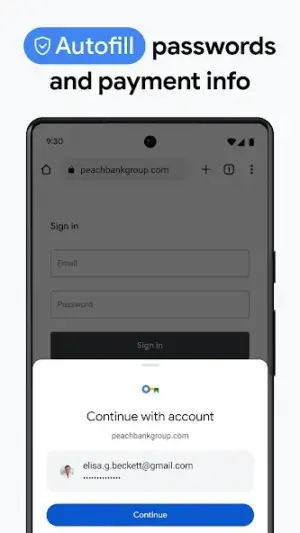 Google Chrome screenshot 2