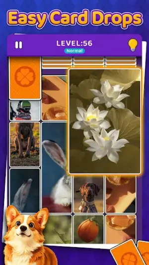 Drop Solitaire - Card Puzzles screenshot 2