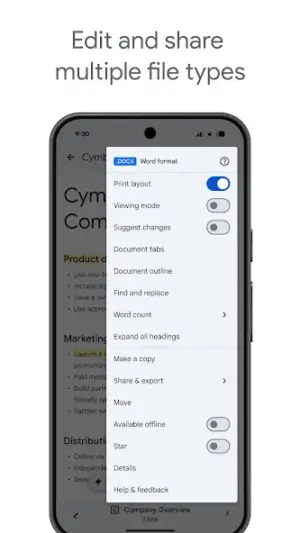 Google Docs screenshot 2