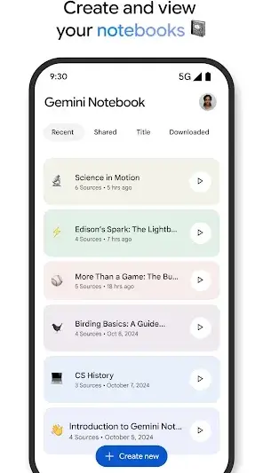 Gemini Notebook screenshot 2