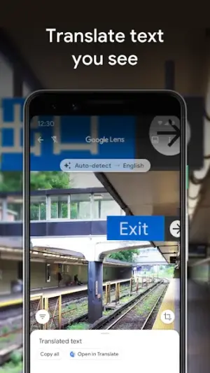 Google Lens screenshot 3