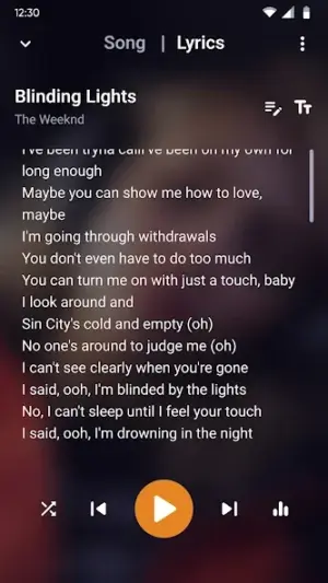 Music Player - MP3 Player screenshot 3