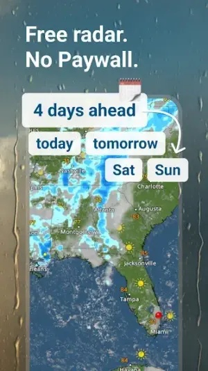 Windy.com - Weather Forecast screenshot 3