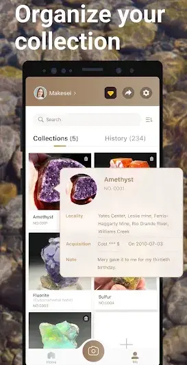 Rock Identifier: Stone ID screenshot 3