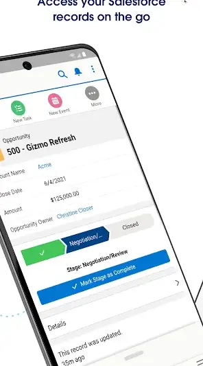 Salesforce screenshot 3