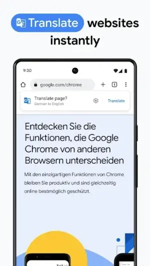 Chrome Dev screenshot 3