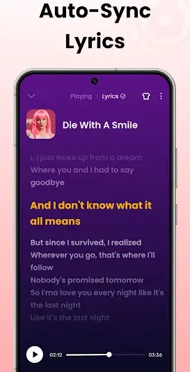 Offline Music Player: Play MP3 screenshot 4