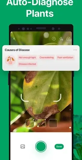 PictureThis - Plant Identifier screenshot 4