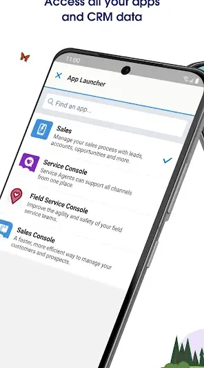 Salesforce screenshot 4